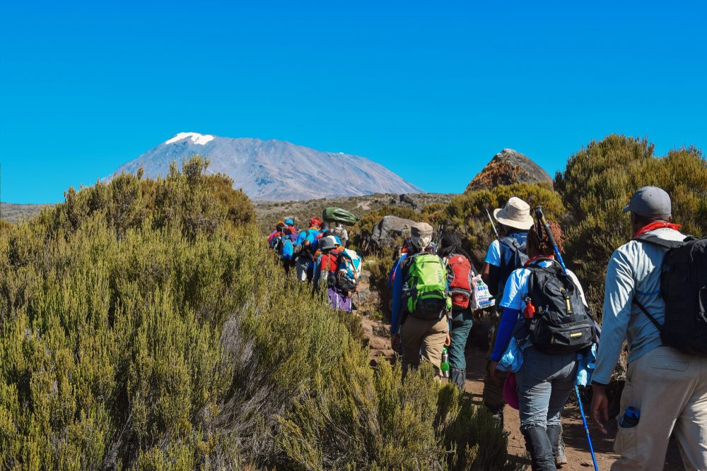 Moorland Trek